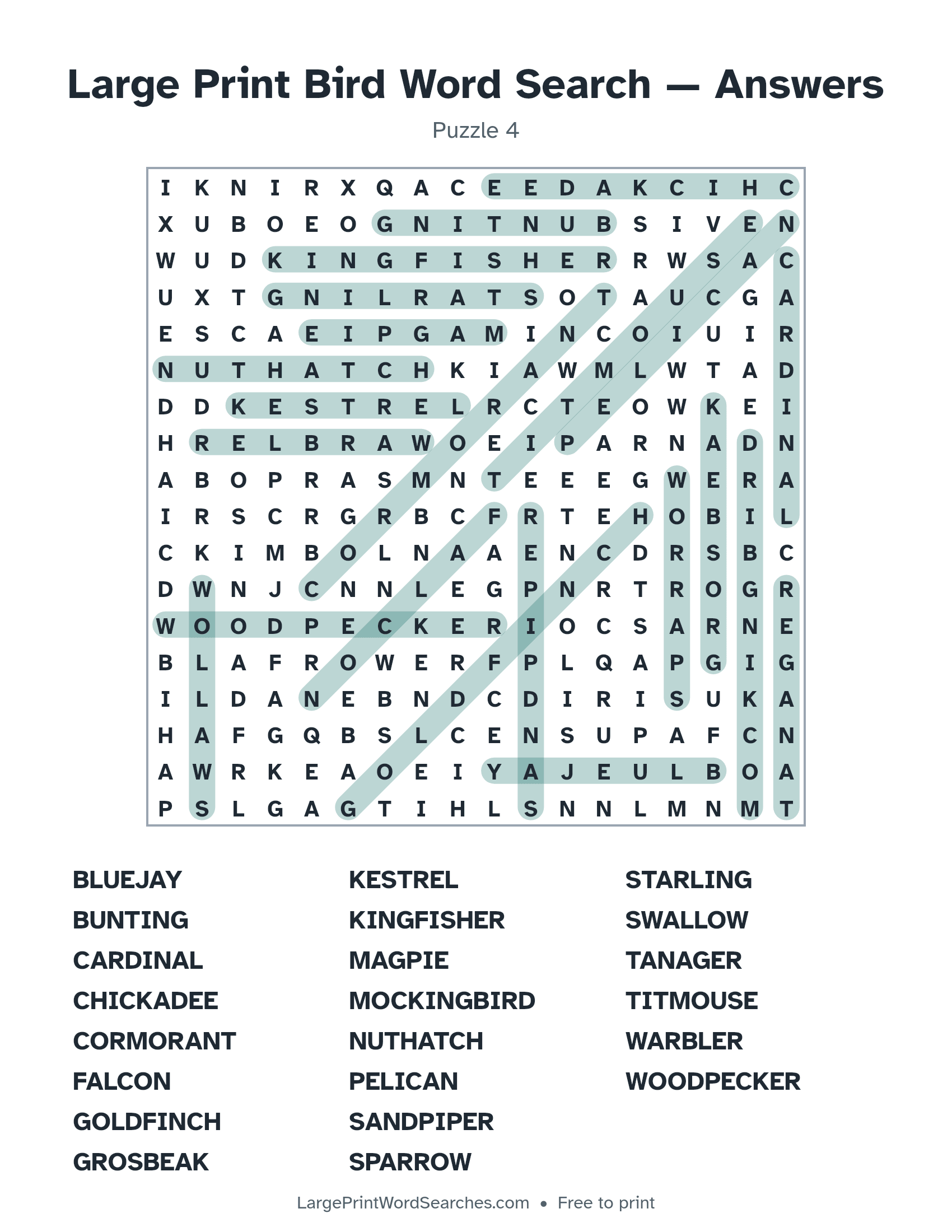 Answer key for large print bird word search puzzle 4 with every hidden word highlighted