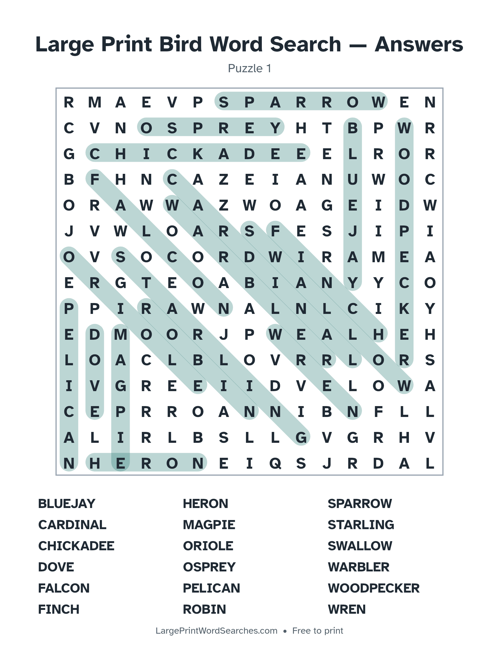 Answer key for large print bird word search puzzle 1 with every hidden word highlighted