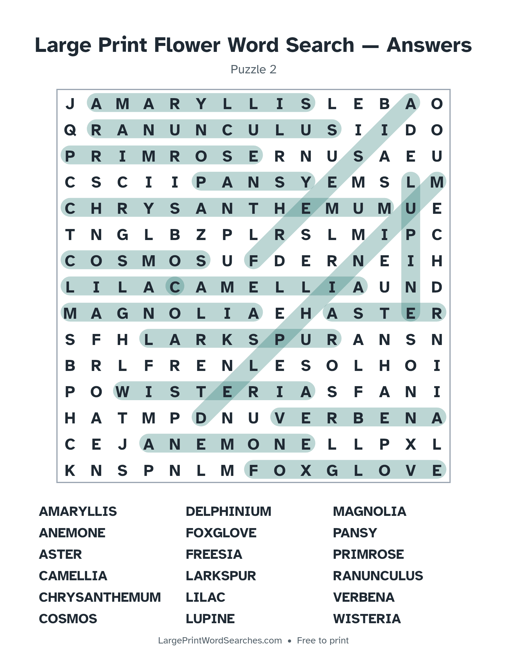 Answer key for large print flower word search puzzle 2 with every hidden word highlighted