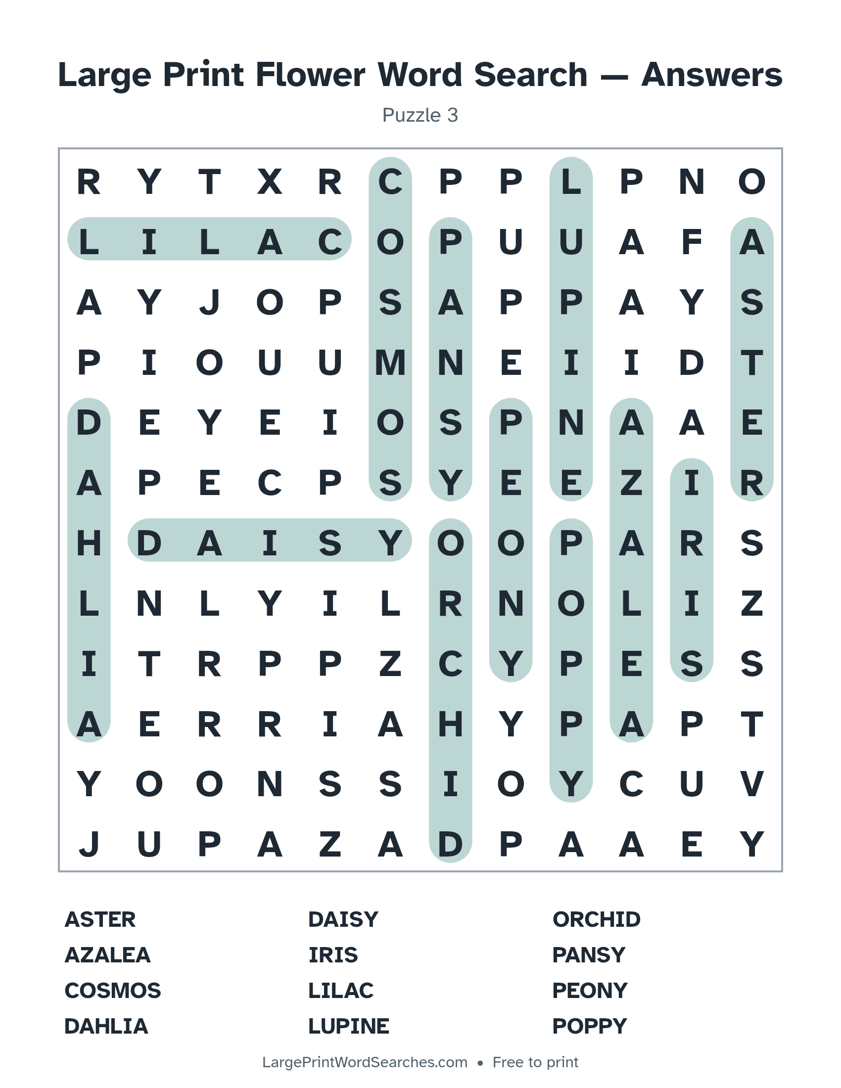 Answer key for large print flower word search puzzle 3 with every hidden word highlighted