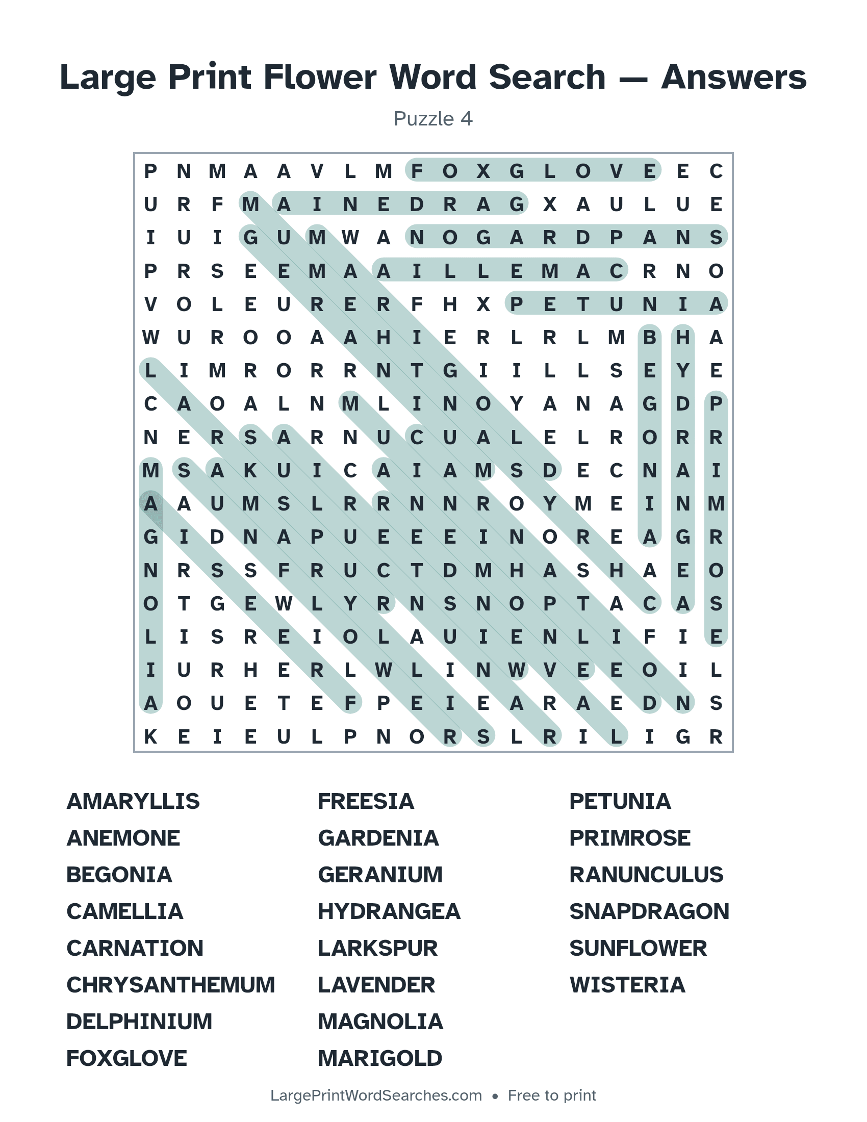 Answer key for large print flower word search puzzle 4 with every hidden word highlighted