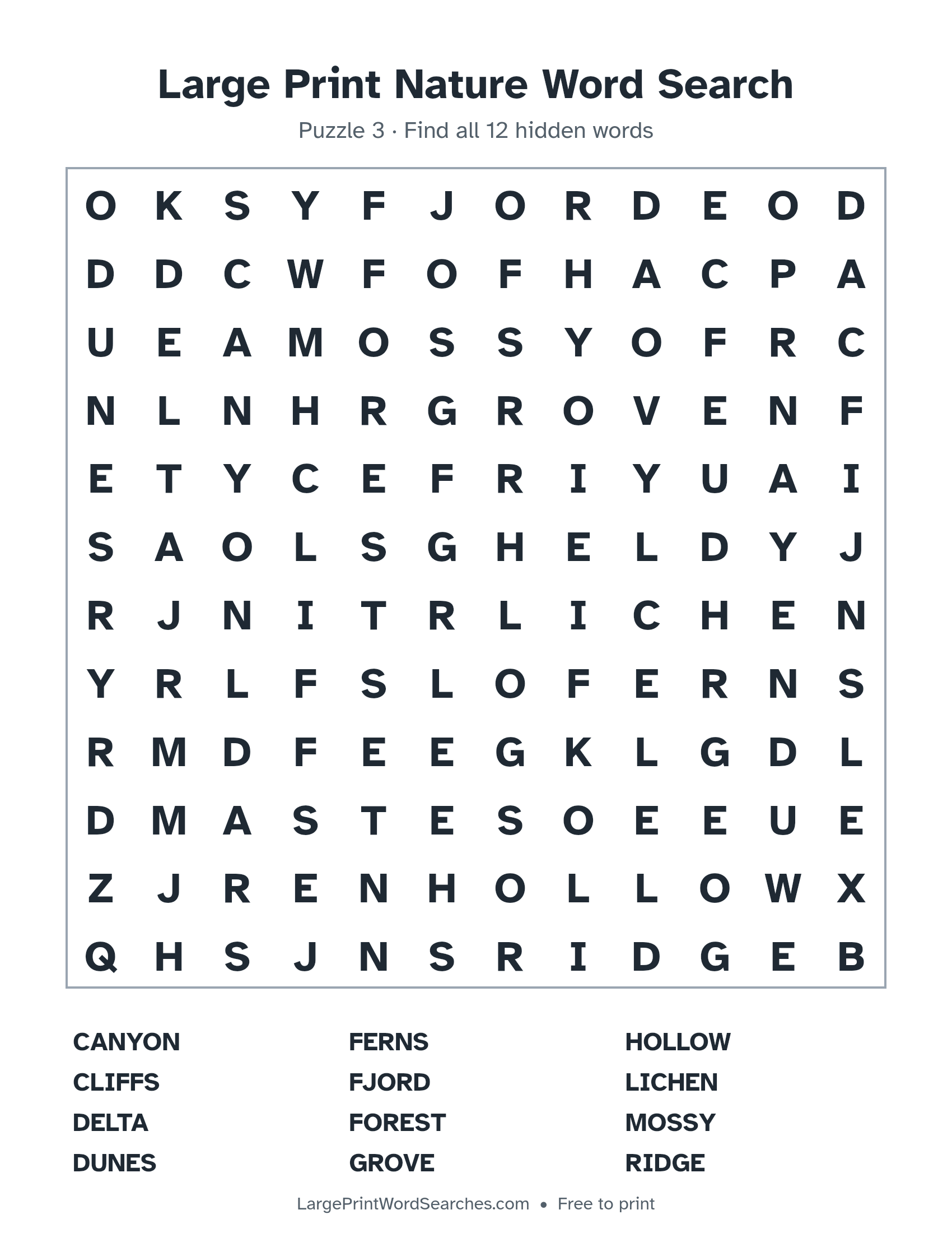 Large Print Nature Word Search puzzle 3: a 12 by 12 letter grid with 12 hidden words in large print