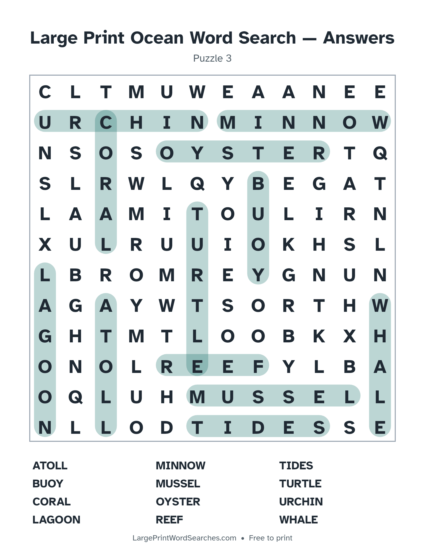 Answer key for large print ocean word search puzzle 3 with every hidden word highlighted