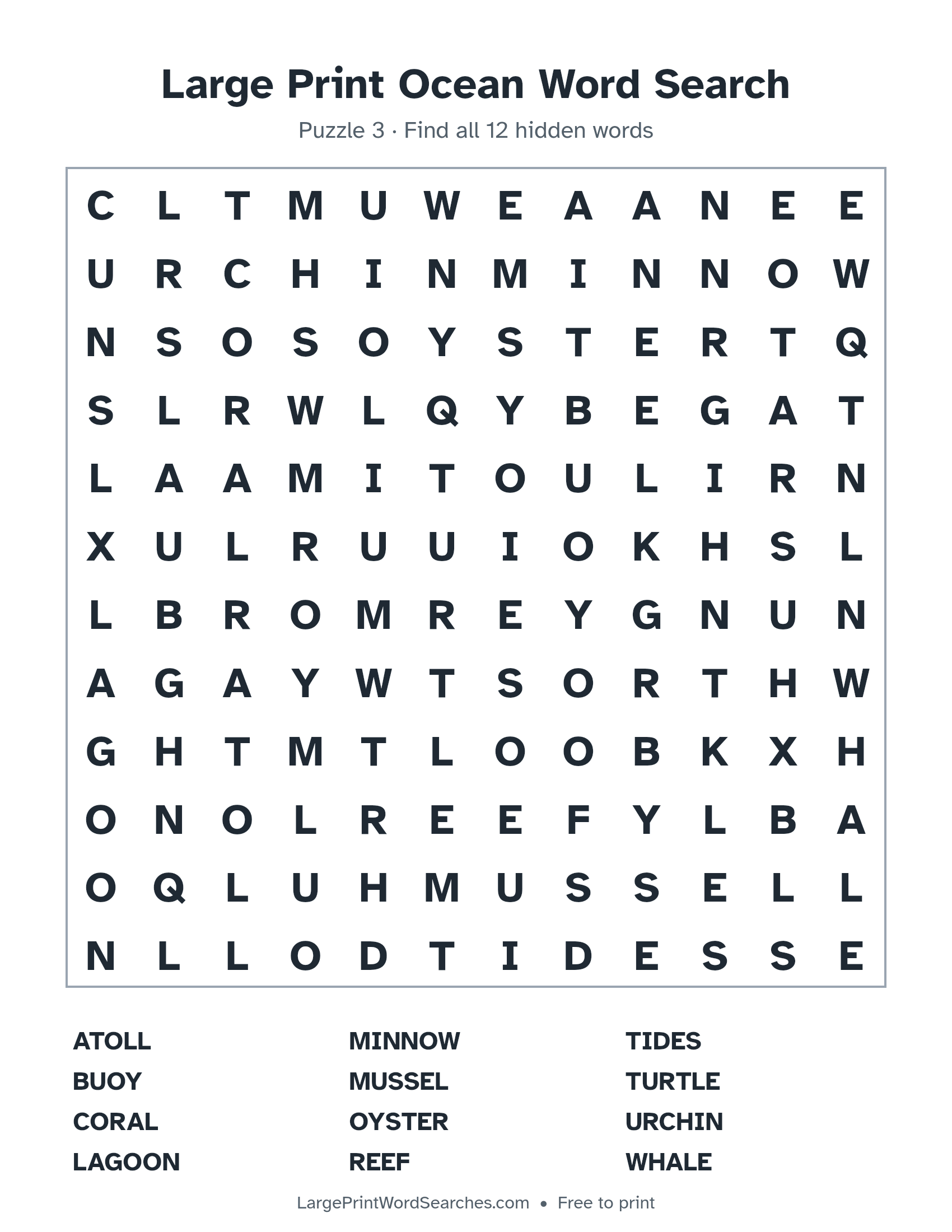 Large Print Ocean Word Search puzzle 3: a 12 by 12 letter grid with 12 hidden words in large print