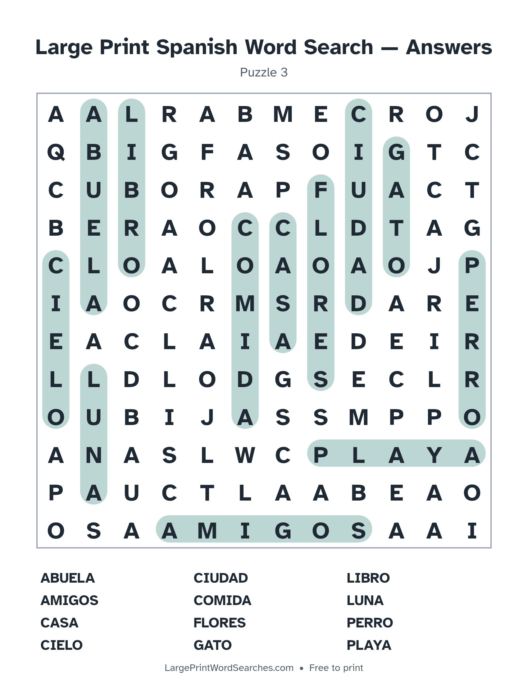 Answer key for large print spanish word search puzzle 3 with every hidden word highlighted