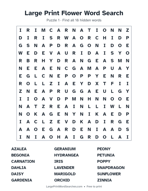 Large Print Flower Word Search — printable sheet preview